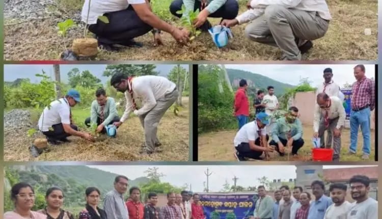 ଜିଲ୍ଲାରେ ୭୭ ତମ ବନ ମହୋତ୍ସବ ପାଳିତ : “ଏକ ପେଡ଼ ମା’ କେ ନାମ” ଅଭିଯାନରେ ବୃକ୍ଷରୋପଣ ।