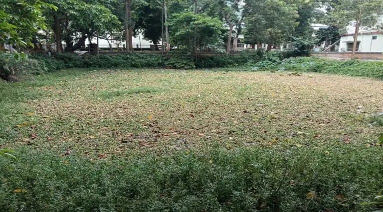 ଗଜପତି ଜିଲାପାଳଙ୍କ କାର୍ଯ୍ୟାଳୟ ନିକଟରେ ଥିବା ପୋଖରୀର ଅବସ୍ଥା ଏପରି ।