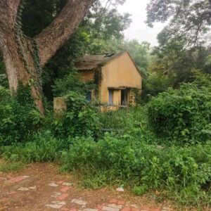 ଗଞ୍ଜାମ ଜିଲ୍ଲା ବିକଳାଙ୍ଗ ସ୍ଥିତିରେ ଉଠା ଜଳସେଚନ l