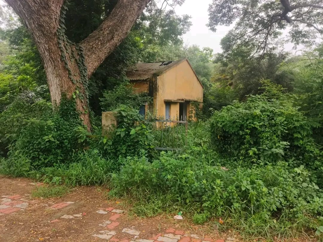 ଗଞ୍ଜାମ ଜିଲ୍ଲା ବିକଳାଙ୍ଗ ସ୍ଥିତିରେ ଉଠା ଜଳସେଚନ l