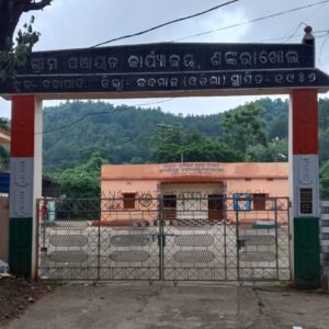 ଶଙ୍କରାଖୋଲ ଗ୍ରାମପଂଚାୟତ ରେ ବିଜେପି ବ୍ଲକ ସଭାପତିଙ୍କ ଦବଙ୍ଗଗିରି...