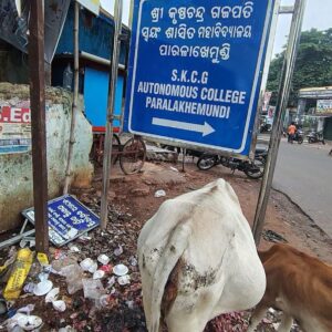 ପାରଳାଖେମୁଣ୍ଡି ସହରରେ ଆବର୍ଜନା ପରିଚାଳନା ବିପର୍ଯ୍ୟସ୍ତ। ।