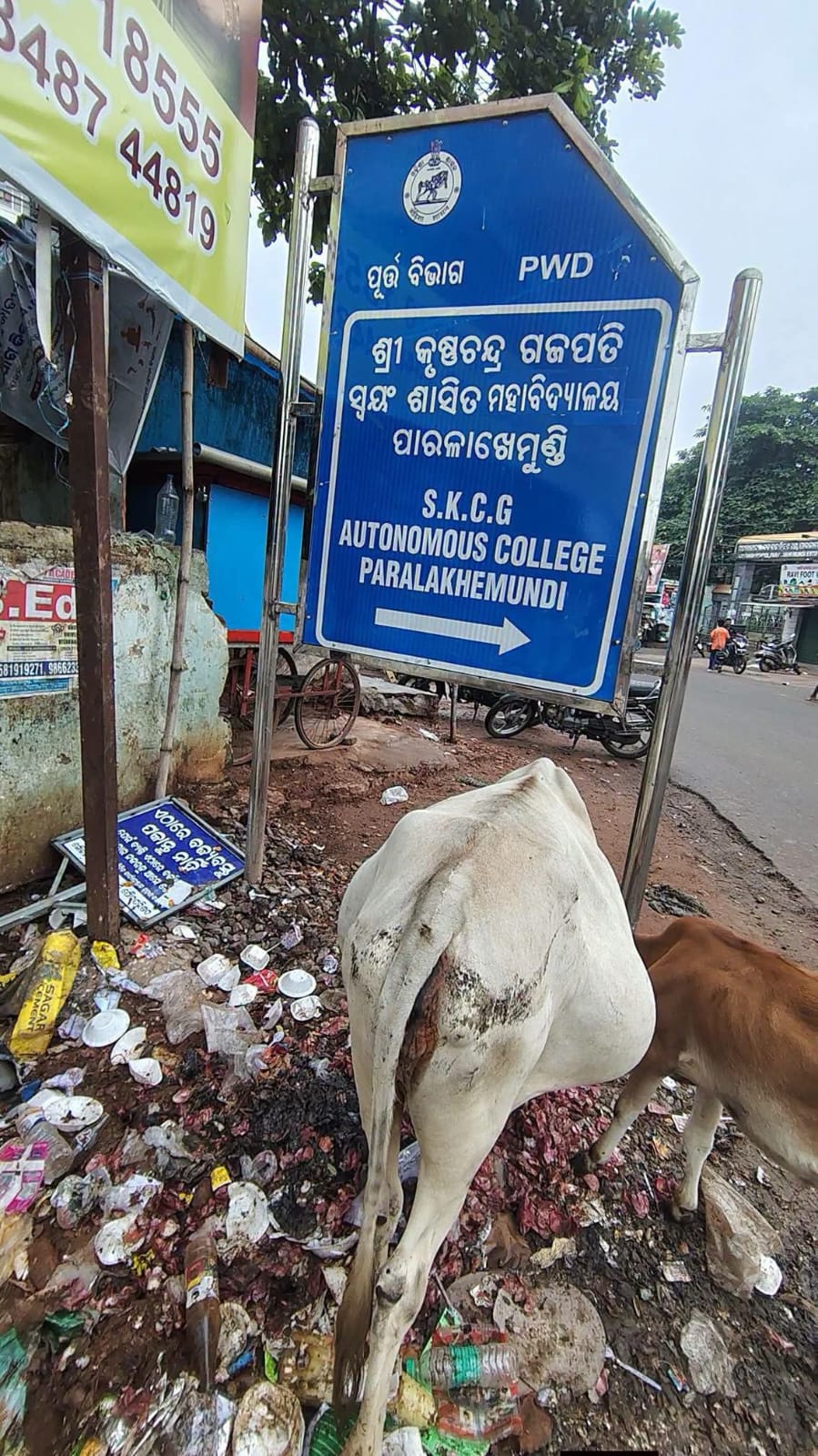 ପାରଳାଖେମୁଣ୍ଡି ସହରରେ ଆବର୍ଜନା ପରିଚାଳନା ବିପର୍ଯ୍ୟସ୍ତ। ।