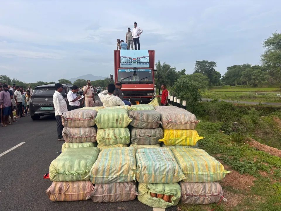 ସୋନପୁର ପୁଲିସର ବଡ଼ ସଫଳତା: ୧୨.୫ କ୍ୱିଣ୍ଟାଲରୁ ଅଧିକ ଗଞ୍ଜେଇ ଜବତ, ମୂଲ୍ୟ ପ୍ରାୟ ୧୩ କୋଟି