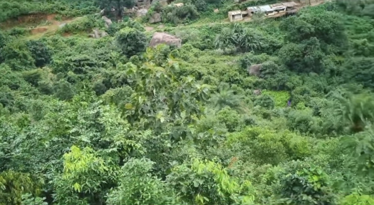 ମହେନ୍ଦ୍ରଗିରିର ପ୍ରାକୃତିକ ଜଙ୍ଗଲ ଓ ଝରଣାର ଅବକ୍ଷୟ ପାଇଁ ଚିନ୍ତା ପ୍ରକଟ କଲେ ପରିବେଶବିତ୍