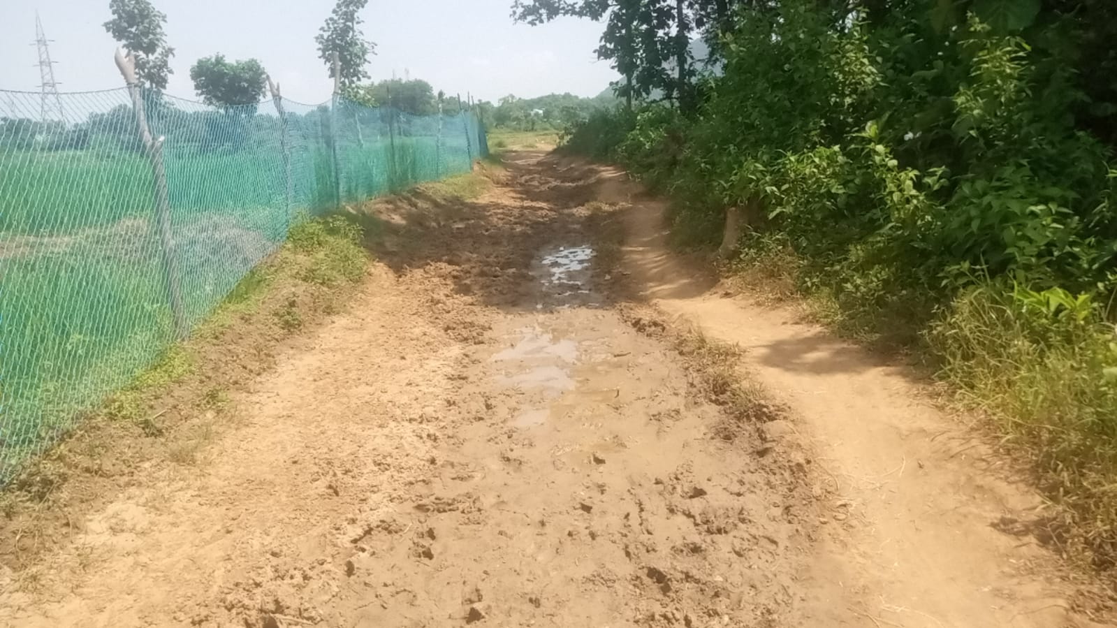 ପକ୍କା ରାସ୍ତା ଓ ରାସ୍ତା ଆଲୋକୀକରଣ ନିମନ୍ତେ ଦାବି ଜଣାଇଲେ ଝାମି ଗ୍ରାମବାସୀ ।