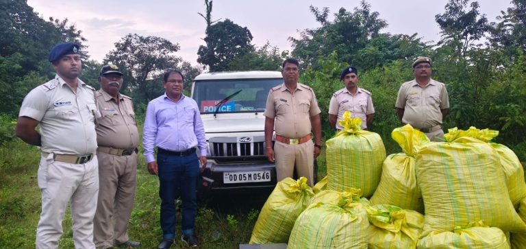 ଦୁର୍ଗମ ବନାଞ୍ଚଳରୁ କୋଟିଏ ଟଙ୍କାରୁ ଉର୍ଦ୍ଧ ଗଞ୍ଜେଇ ଜବତ ।