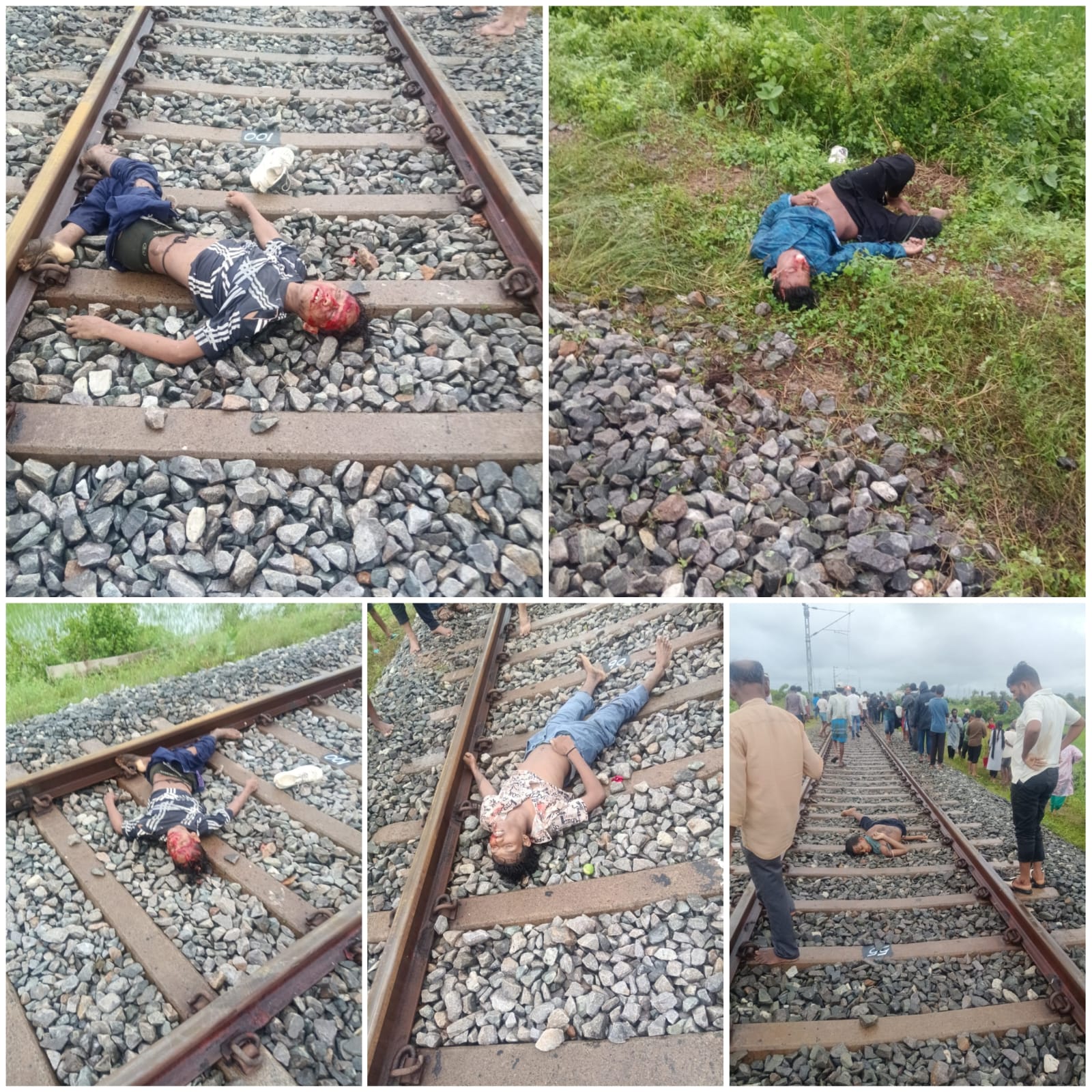 ଟେକିଲି ନିକଟରେ ଟ୍ରେନ୍ ଧକ୍କାରେ ୪ ମୃତ, ଜଣେ ଗୁରୁତର ।