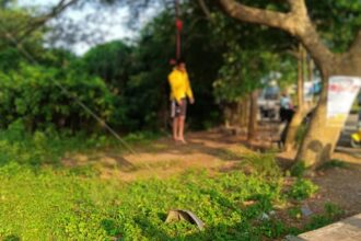 ରାସ୍ତା କଡ଼ରେ ଗଛର ଦଉଡି ଲଗାଇ ଯୁବକ ର ଆତ୍ମହତ୍ୟା।