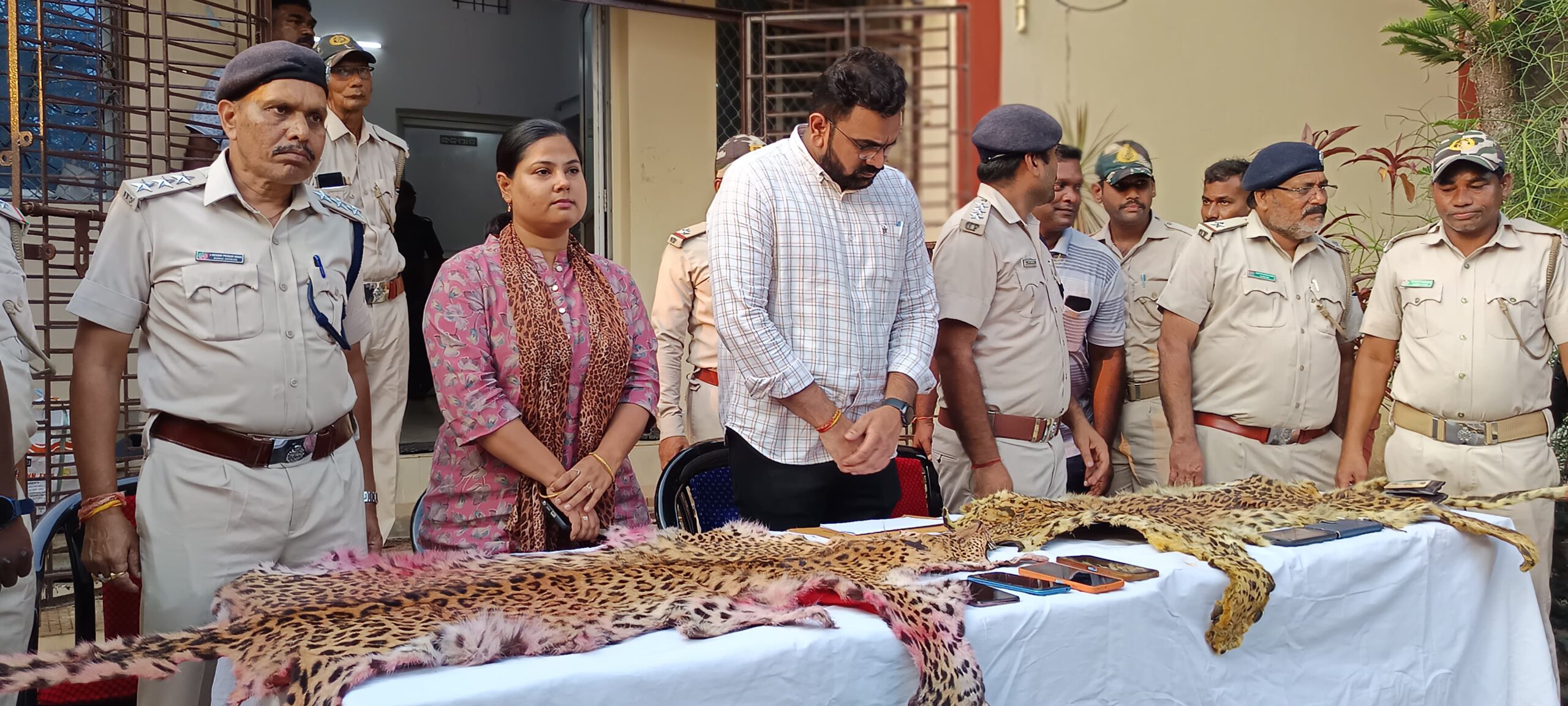 ବନବିଭାଗ ପକ୍ଷରୁ ଦୁଇଟି ଚିତାବାଘ ଚମଡ଼ା ଜବତ, ୬ ଅଭିଯୁକ୍ତ ଗିରଫ ।