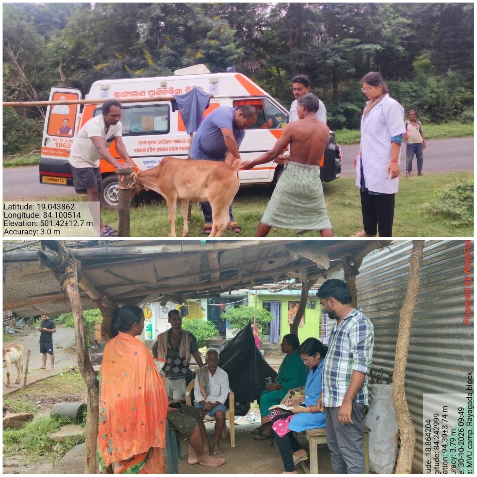 ବାତ୍ୟା ପରବର୍ତ୍ତୀ ସମୟରେ ଗୃହପାଳିତ ପଶୁଙ୍କ ସୁରକ୍ଷା ପାଇଁ ପଶୁ ଚିକିତ୍ସା ଶିବିର ଅନୁଷ୍ଠିତ* ।